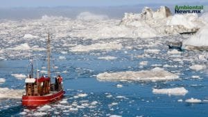 Virus gigantes en el hielo de Groenlandia podrían ser clave en la crisis ambiental