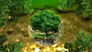 La nueva ley de la CDMX que intenta frenar el deterioro ambiental