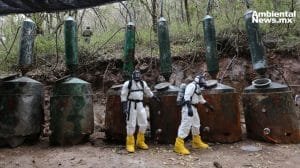 Narcolaboratorios: una amenaza silenciosa para los ecosistemas mexicanos
