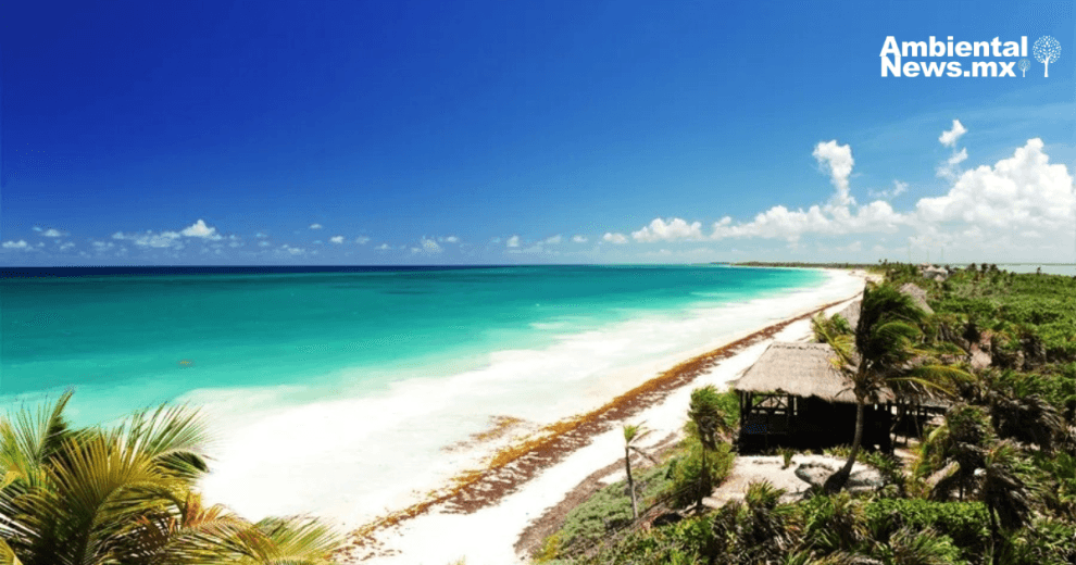 Quintana Roo: SEMARNAT anuncia la protección de terrenos de Vulcan Materials 