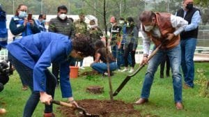 Un futuro más verde: Guanajuato inicia inventario de su arbolado urbano