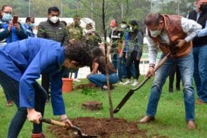 Un futuro más verde: Guanajuato inicia inventario de su arbolado urbano