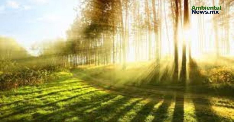 Comisión Permanente pide recursos para fortalecer protección y conservación de Áreas Naturales Protegidas