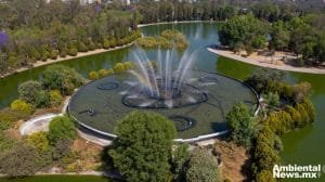 Consulta publica para el programa de manejo del bosque de Chapultepec 1