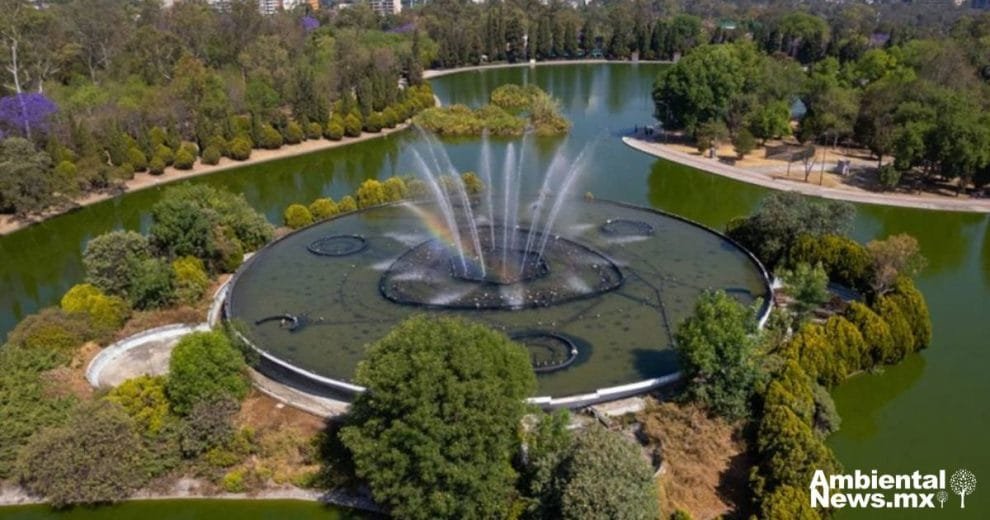 Consulta publica para el programa de manejo del bosque de Chapultepec 1