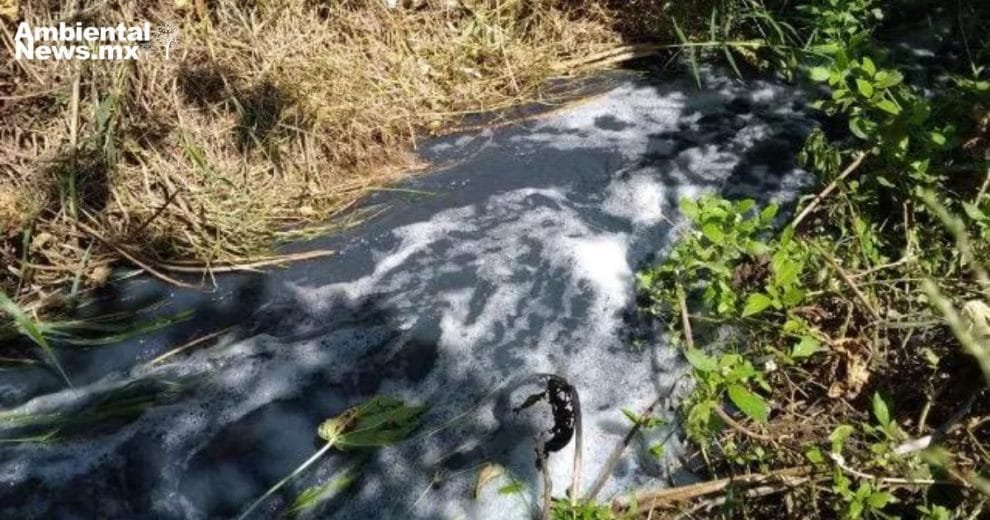 Crisis ambiental en Tehuacán lavanderías irregulares provocan desastre en salud pública y medio ambiente