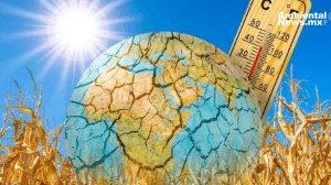 El Niño se manifiesta antes de lo esperado podría llevar a inviernos más cálidos