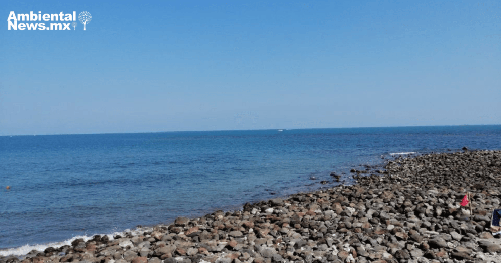 Urgente investigan vertido de aguas residuales que afecta el Golfo de México