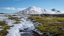El Ártico podría volverse verde por el calentamiento global