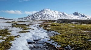 El Ártico podría volverse verde por el calentamiento global