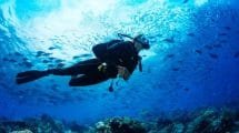 Hay un nuevo auge en el submarinismo; los buzos pasan de la contemplación al activismo
