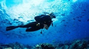 Hay un nuevo auge en el submarinismo; los buzos pasan de la contemplación al activismo