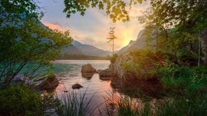 green trees near body water daytime