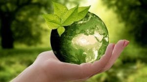 ¡Salvar el planeta es posible! Proteger el 1.2% puede evitar extinciones masivas