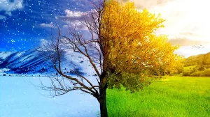 ¿Desaparecerán los inviernos? Lo que dice la ciencia sobre el cambio climático