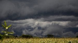 El futuro del clima: cómo el brillo de las nubes marinas podría transformar el planeta
