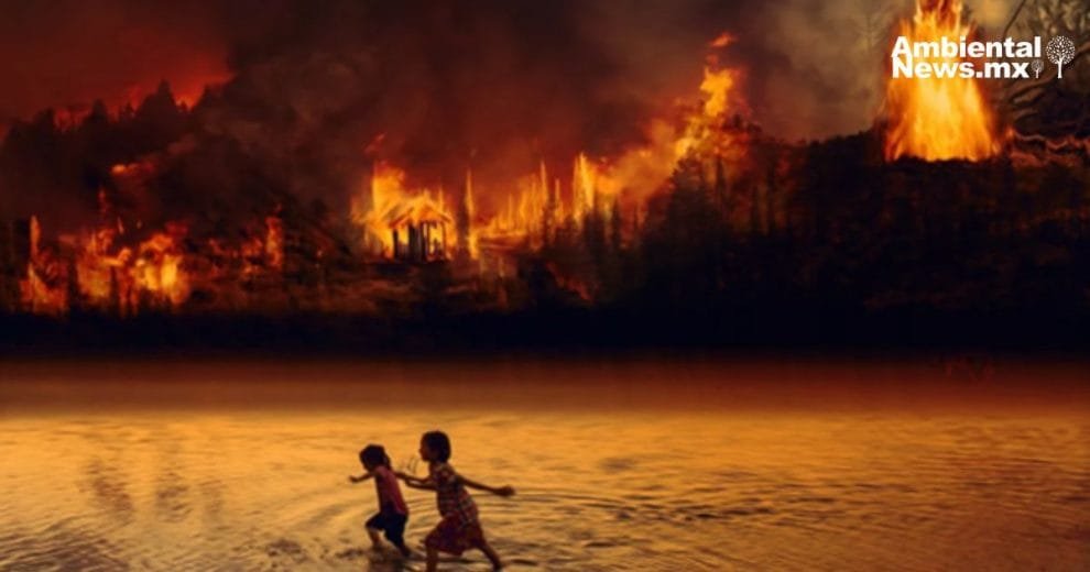 El Pantanal en peligro lo que el mundo debe saber sobre esta catástrofe ambiental