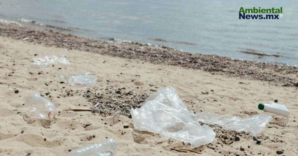 Hongos que podrían ayudar a limpiar el mar