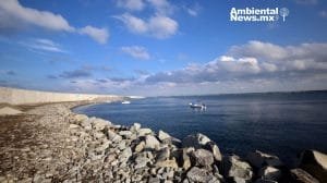 Un antes y un después para Veracruz importantes avances históricos en sostenibilidad