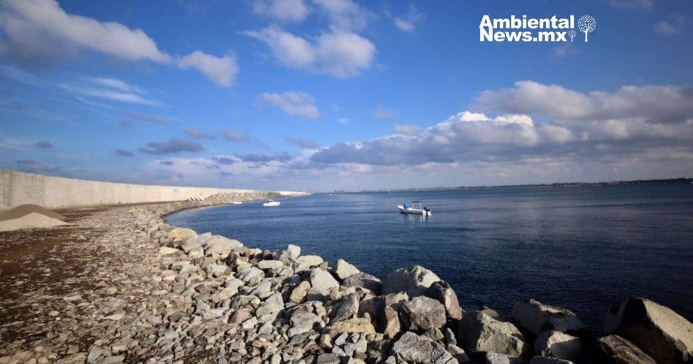 Un antes y un después para Veracruz: importantes avances históricos en sostenibilidad 10 Un antes y un después para Veracruz importantes avances históricos en sostenibilidad