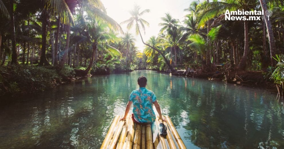 Viajeros conscientes: El auge de los hoteles verdes y el turismo responsable en hispanoamérica 11 Viajeros conscientes El auge de los hoteles verdes y el turismo responsable en hispanoamérica