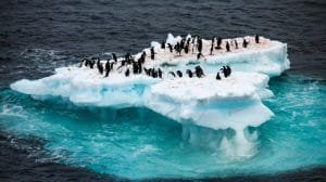 El cambio climático transforma la pesca mundial