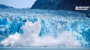 Deshielo en acción: La crisis de los glaciares