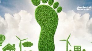 ANW 4 formas de reducir tu huella de carbono y proteger el medio ambiente