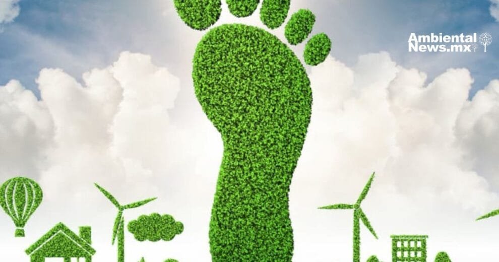 ANW 4 formas de reducir tu huella de carbono y proteger el medio ambiente