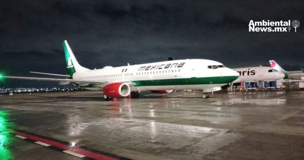 AIFA reubicará fauna capturada en sus instalaciones con apoyo de Semarnat