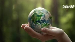 Alarma ambiental: los ciudadanos del G20 cree que estamos cerca de un punto de inflexión climático