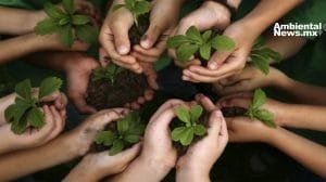 Cuando la comunidad se une, el medio ambiente gana: así fue la jornada de arborización en el Club Muralla