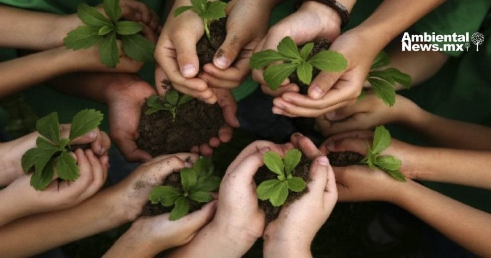 Cuando la comunidad se une, el medio ambiente gana: así fue la jornada de arborización en el Club Muralla