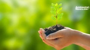 El 2024 marcó un antes y un después en la lucha ambiental