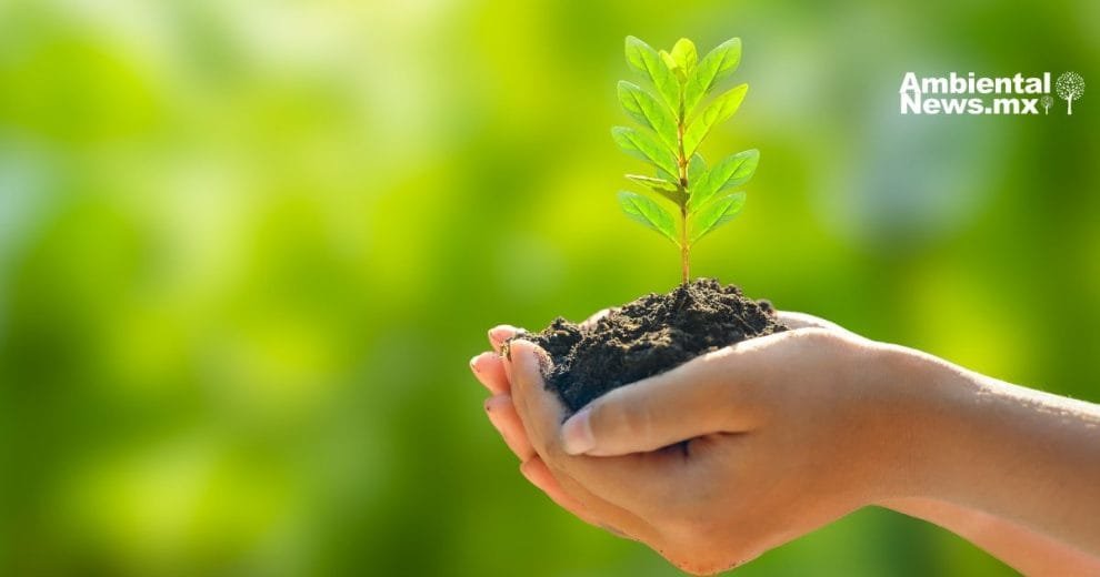 El 2024 marcó un antes y un después en la lucha ambiental