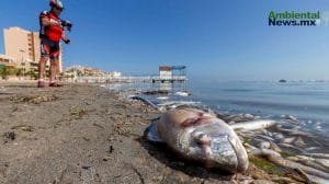 El cambio climático podría hacer que especies de peces desaparezcan más rápido de lo que se cree