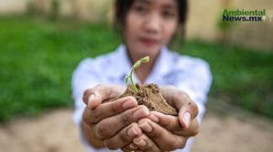 La crisis climática en 2025: cinco desafíos clave para el futuro del planeta