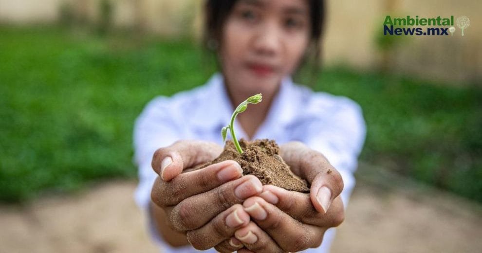 La crisis climática en 2025: cinco desafíos clave para el futuro del planeta