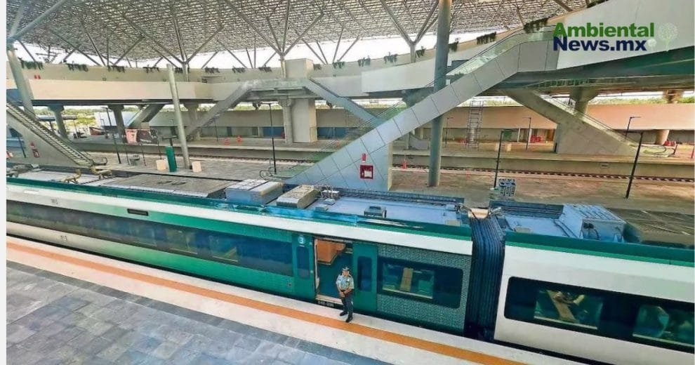 Sedena supervisará impacto hídrico del Tren Maya: monitoreo incluye cenotes y ríos subterráneos