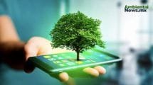 Transformación digital con impacto ecológico: 5 tendencias para un futuro sostenible