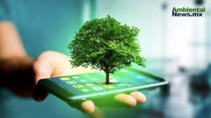 Transformación digital con impacto ecológico: 5 tendencias para un futuro sostenible