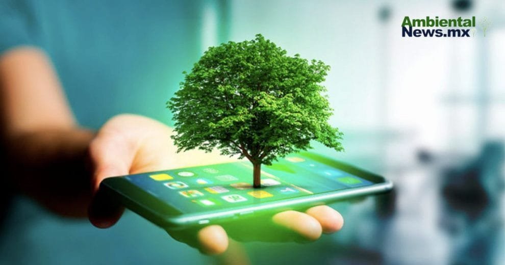 Transformación digital con impacto ecológico: 5 tendencias para un futuro sostenible