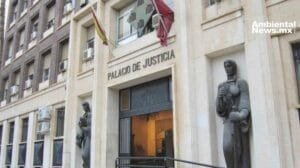 ¡Multa millonaria! Empresa sancionada por manejo ilegal de residuos