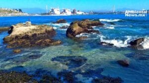 Contaminación en Ventanas: ¿Qué está en juego para el ecosistema?