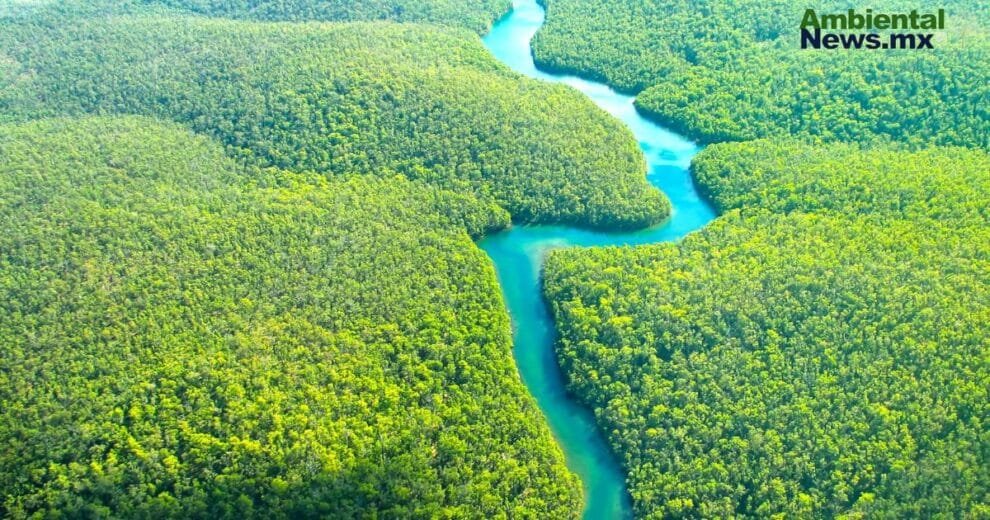 Controversial Ley en Mato Grosso pone en riesgo la protección ambiental