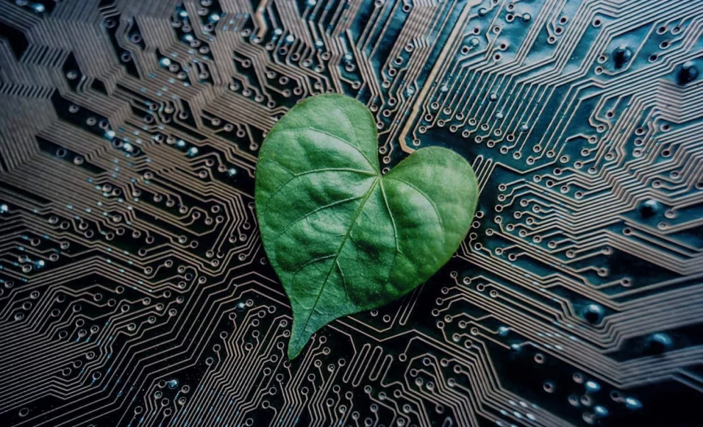 Los algoritmos verdes en la IA y su influencia en el desarrollo de negocios sostenibles