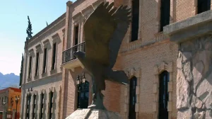 El Museo de las Aves: Protege la fauna y el medio ambiente, ¡di no a la pirotecnia!