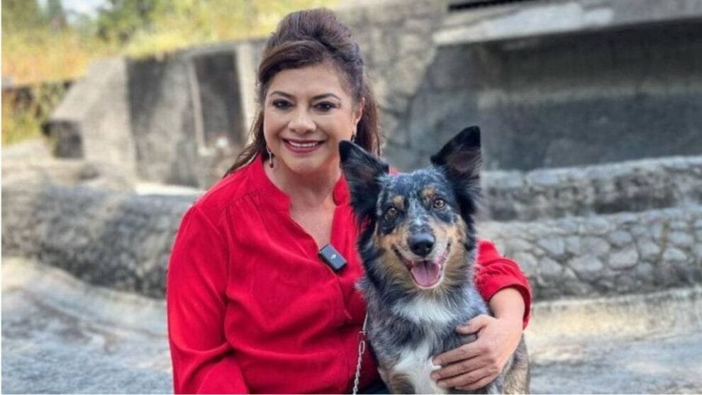 Clara Brugada presenta plan para el bienestar animal en la CDMX