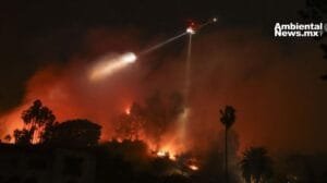 COPY FB e IG: Vientos extremos, incendios devastadores. El cambio climático no da tregua. Call to Action: Conoce cómo el cambio climático impacta nuestra vida.