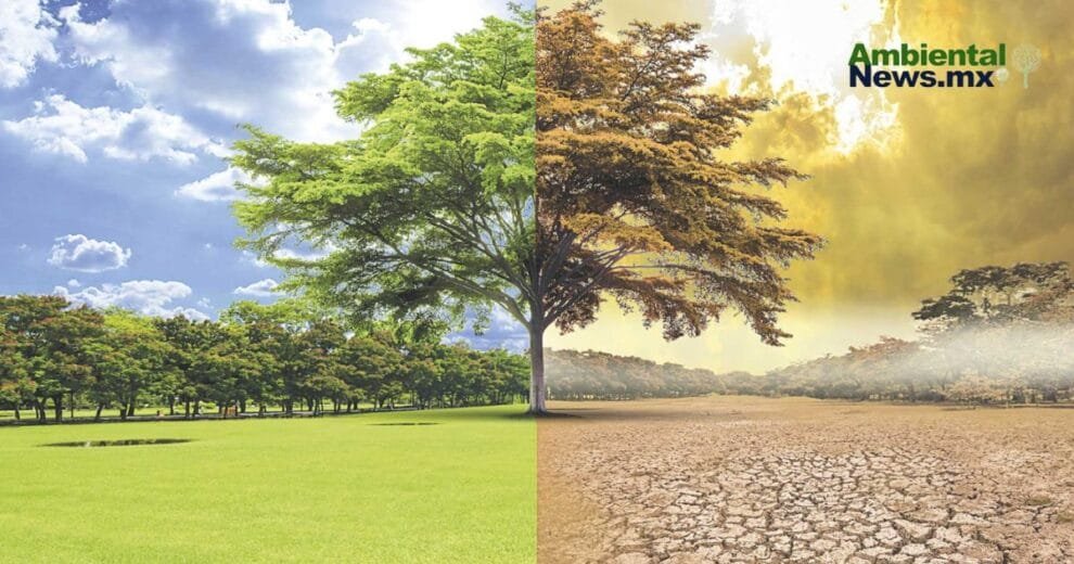 México enfrenta los extremos del clima: huracanes, sequías y calor extremo 10 México enfrenta los extremos del clima: huracanes, sequías y calor extremo